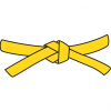 חגורות בקרב מגע - חגורה צהובה